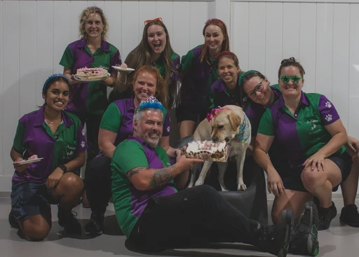 Oz Wagtails Pty Ltd