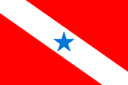 Bandeira Pará