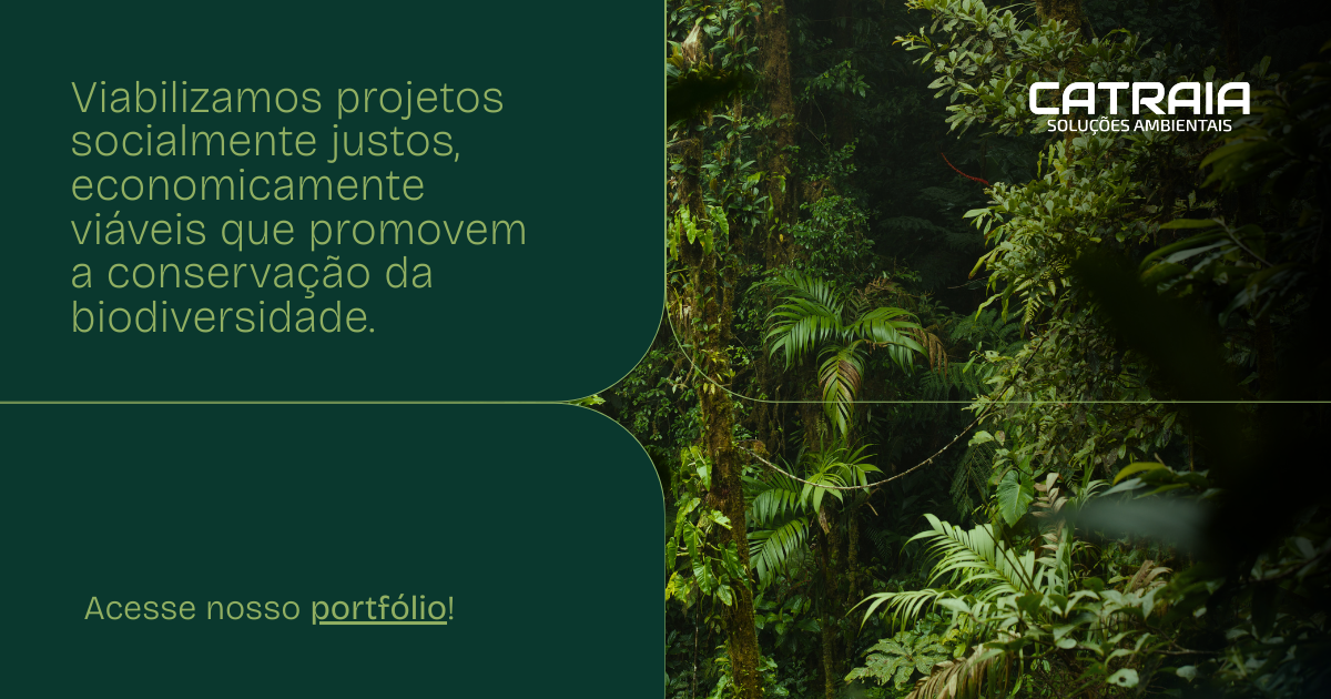 Catraia Solucoes Ambientais