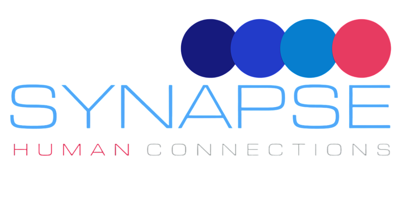 Synapse - Learning Connections