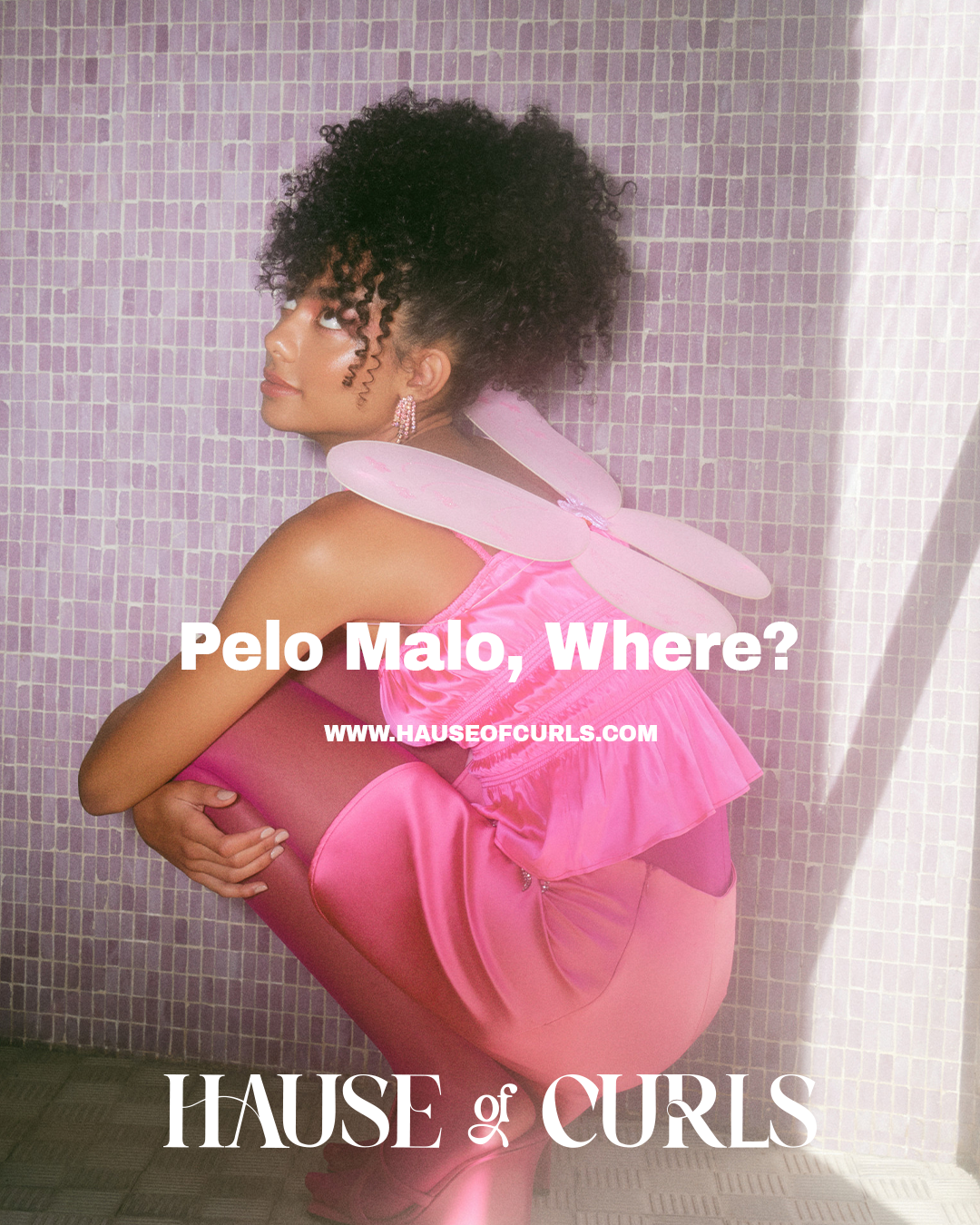 Hause of Curls 6