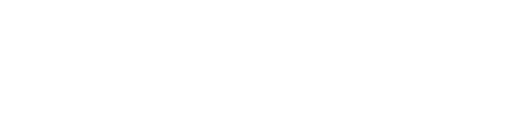 Platform Logo