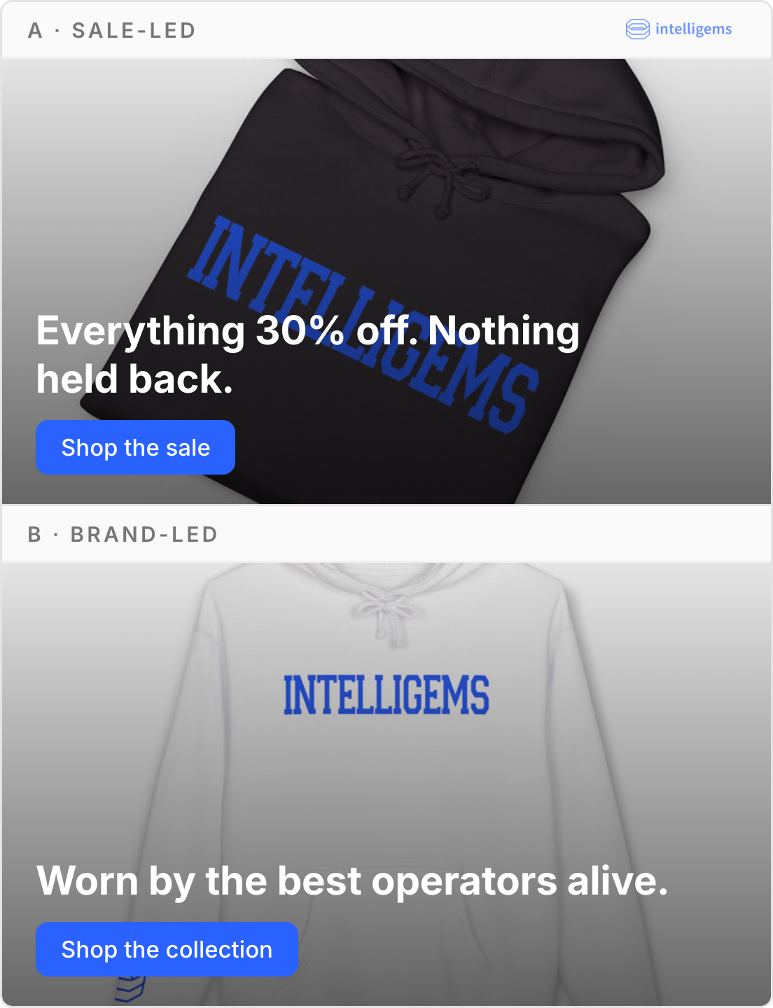 Sale-led vs. brand-led homepage messaging test