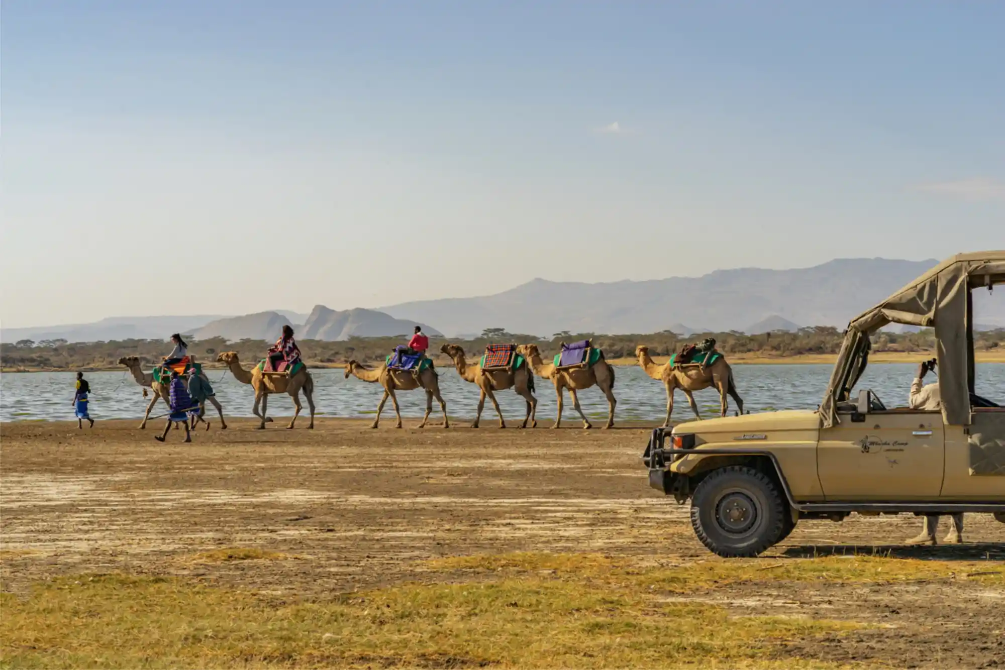 Camel Riding