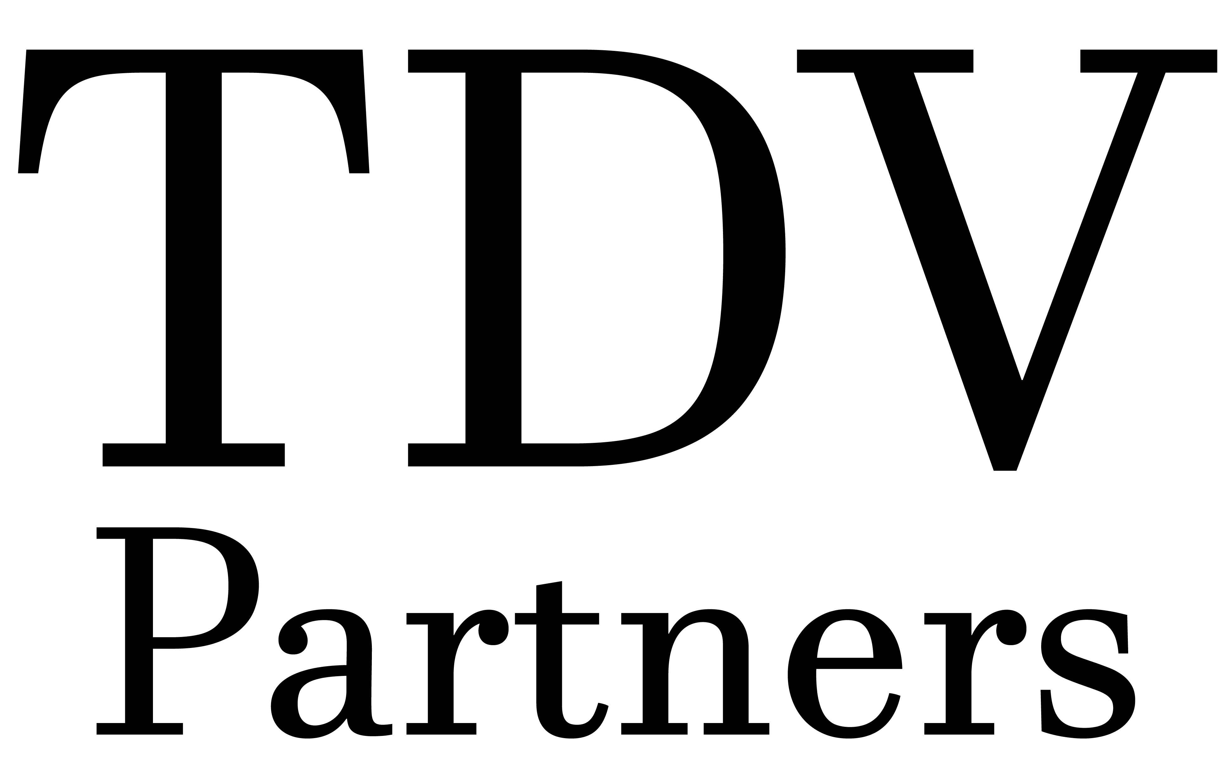 TDV Partners photo