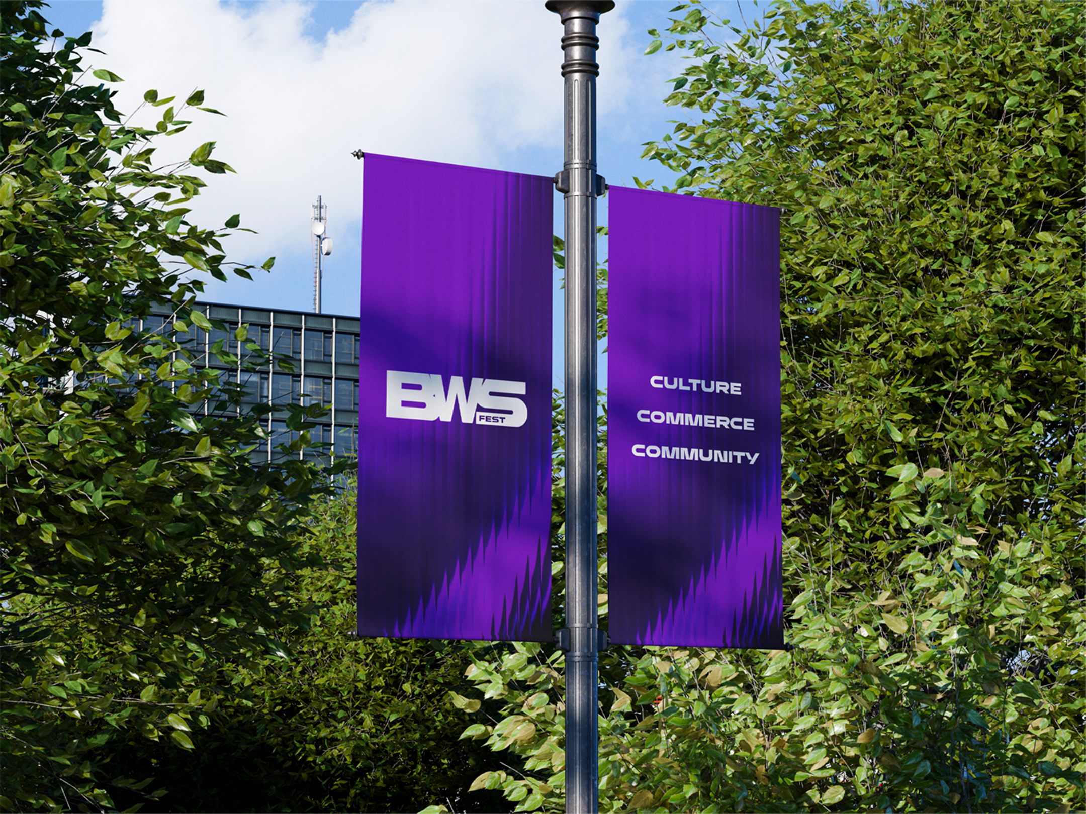 BWS Festival 5