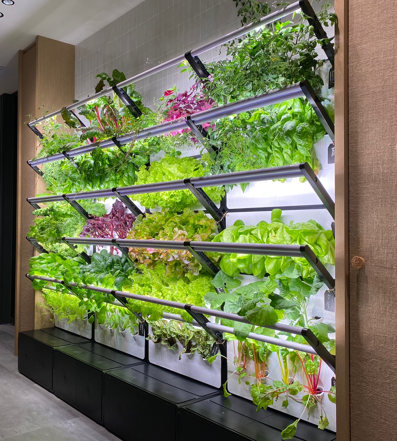Grobrix: Modular Edible Green Walls for Workplaces, Hospitality