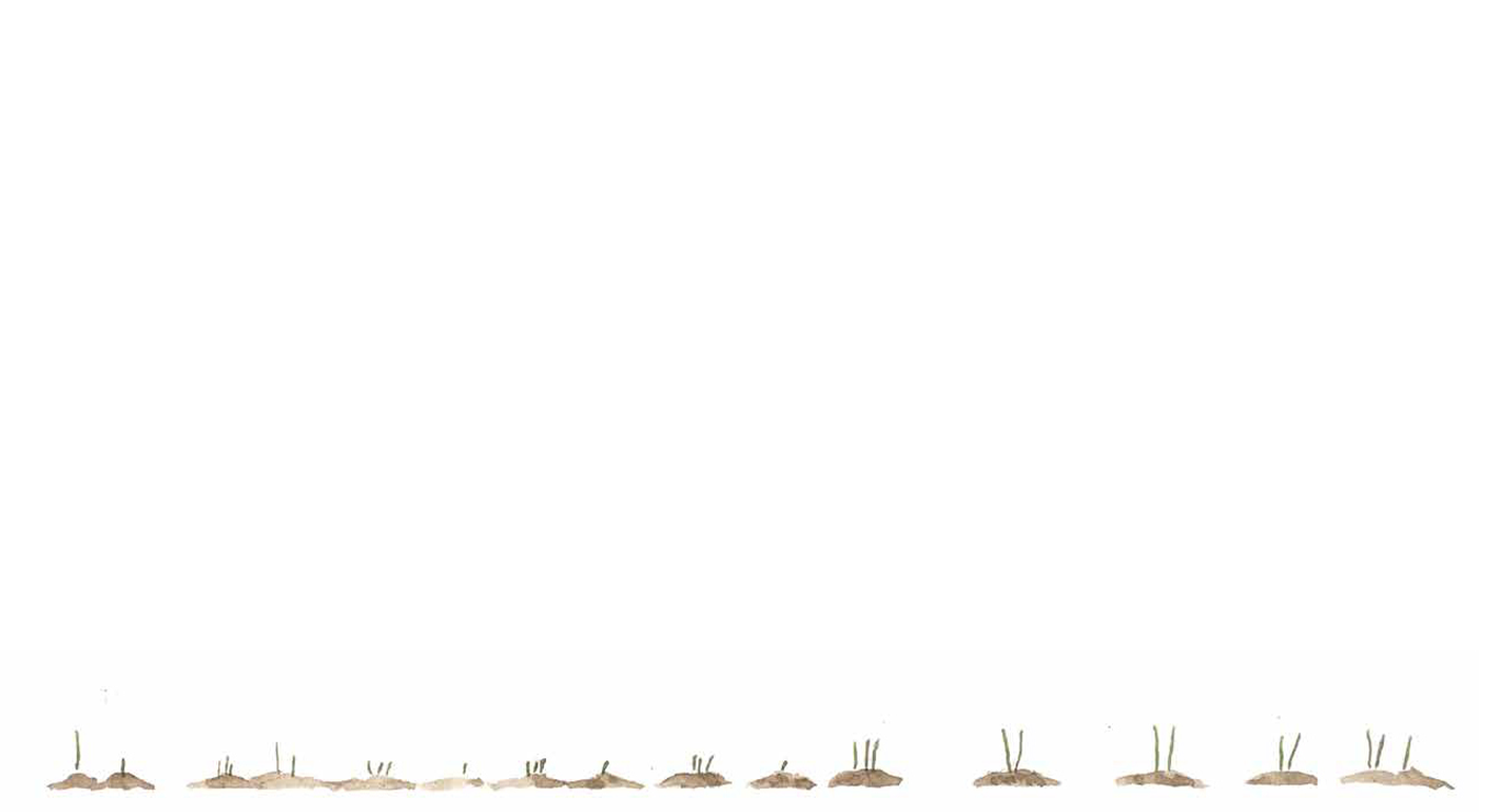 ImageCarousel image 1