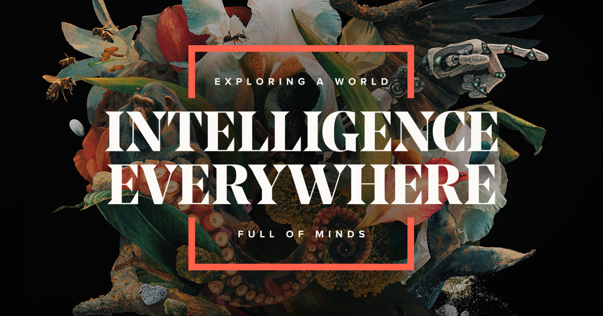 Intelligence Everywhere Event