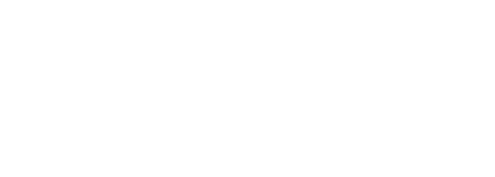 WEBER SHANDWICK