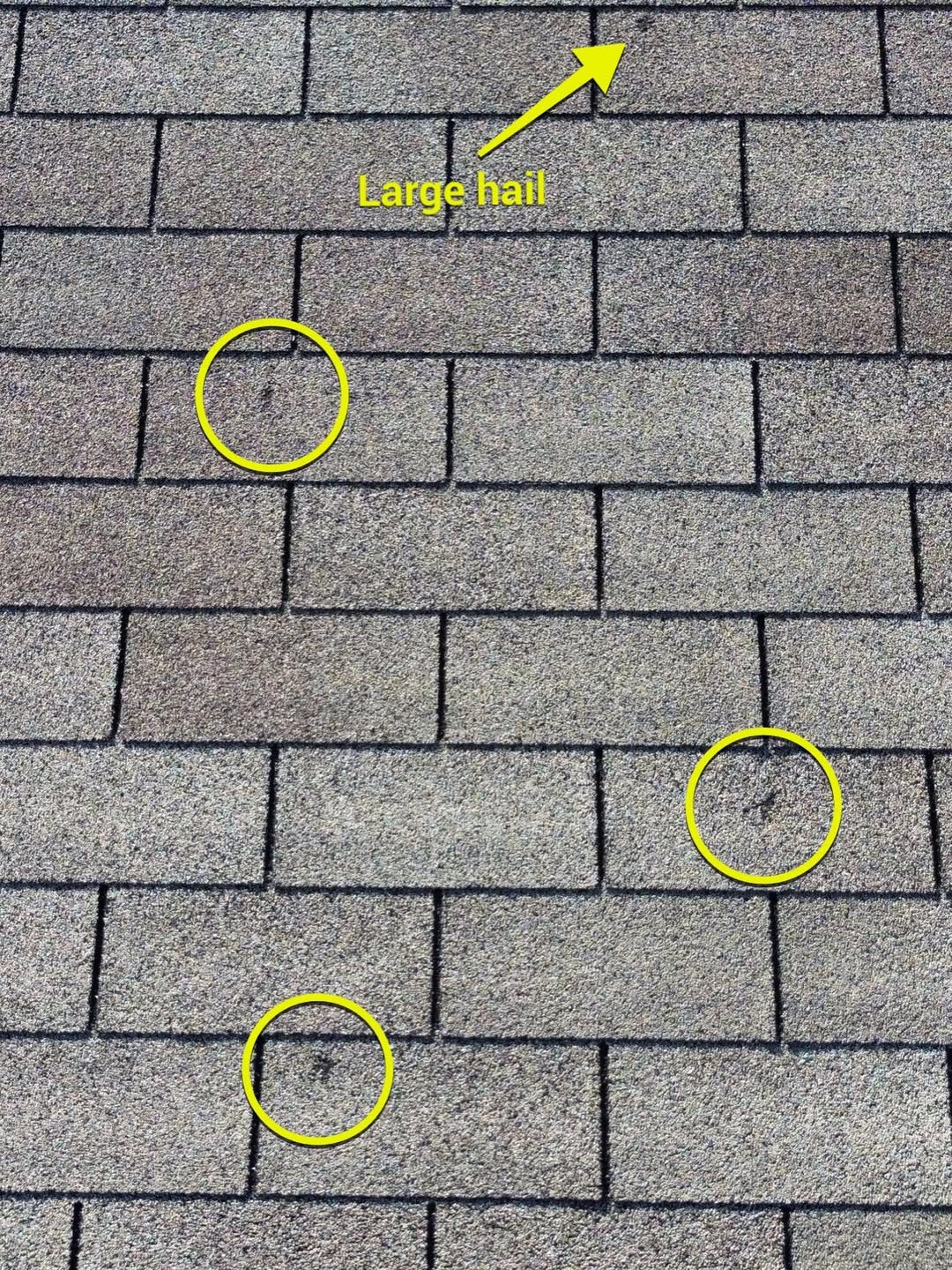 Hail damage roof assessment