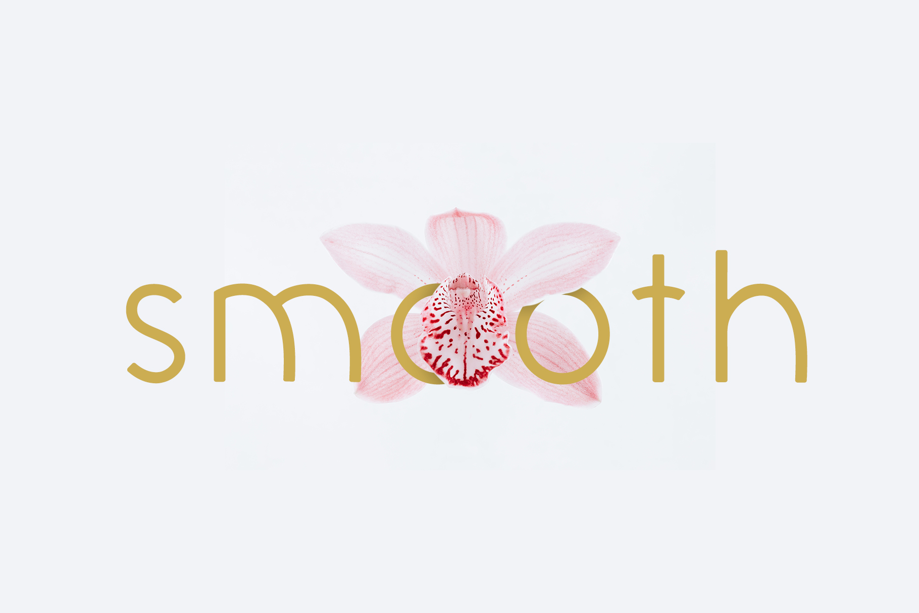 Elegantly Art Nouveau Inspired Elegant Font Daniele Franchi Typography elegantly-art-nouveau-inspired-elegant-font-daniele-franchi-typography