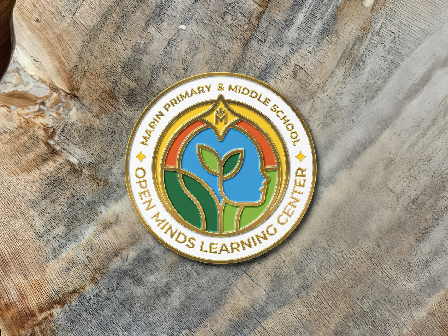 MARIN PRIMARY AND MIDDLE SCHOOL project preview