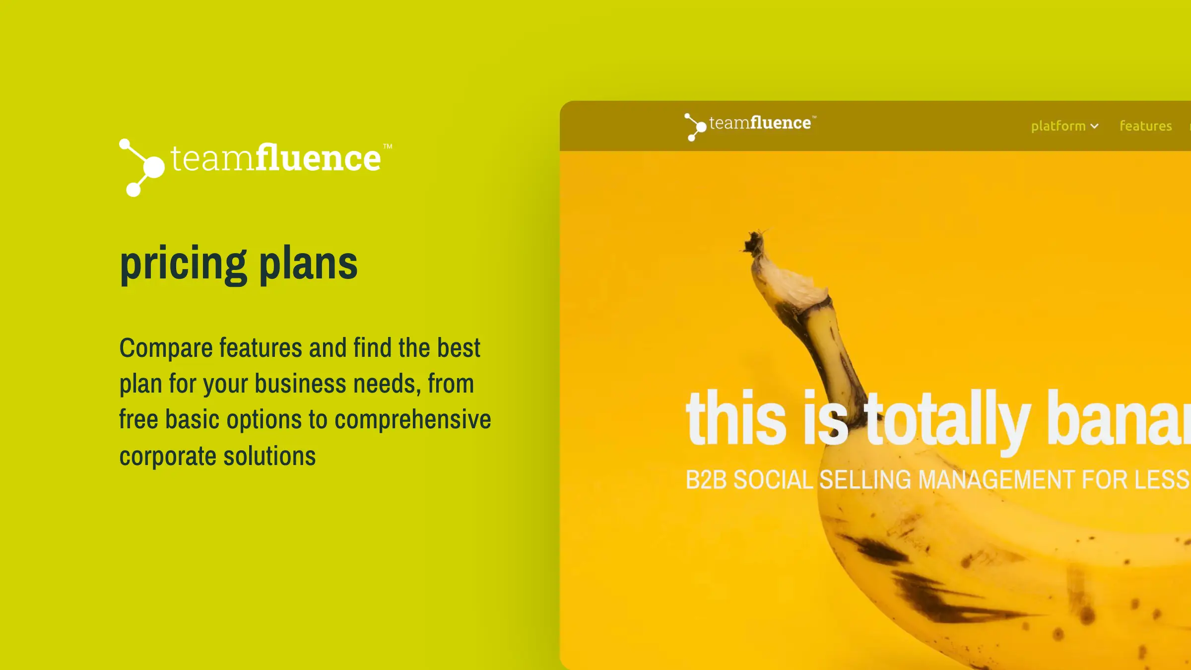 B2B Social Selling - Pricing Plans | Teamfluence™