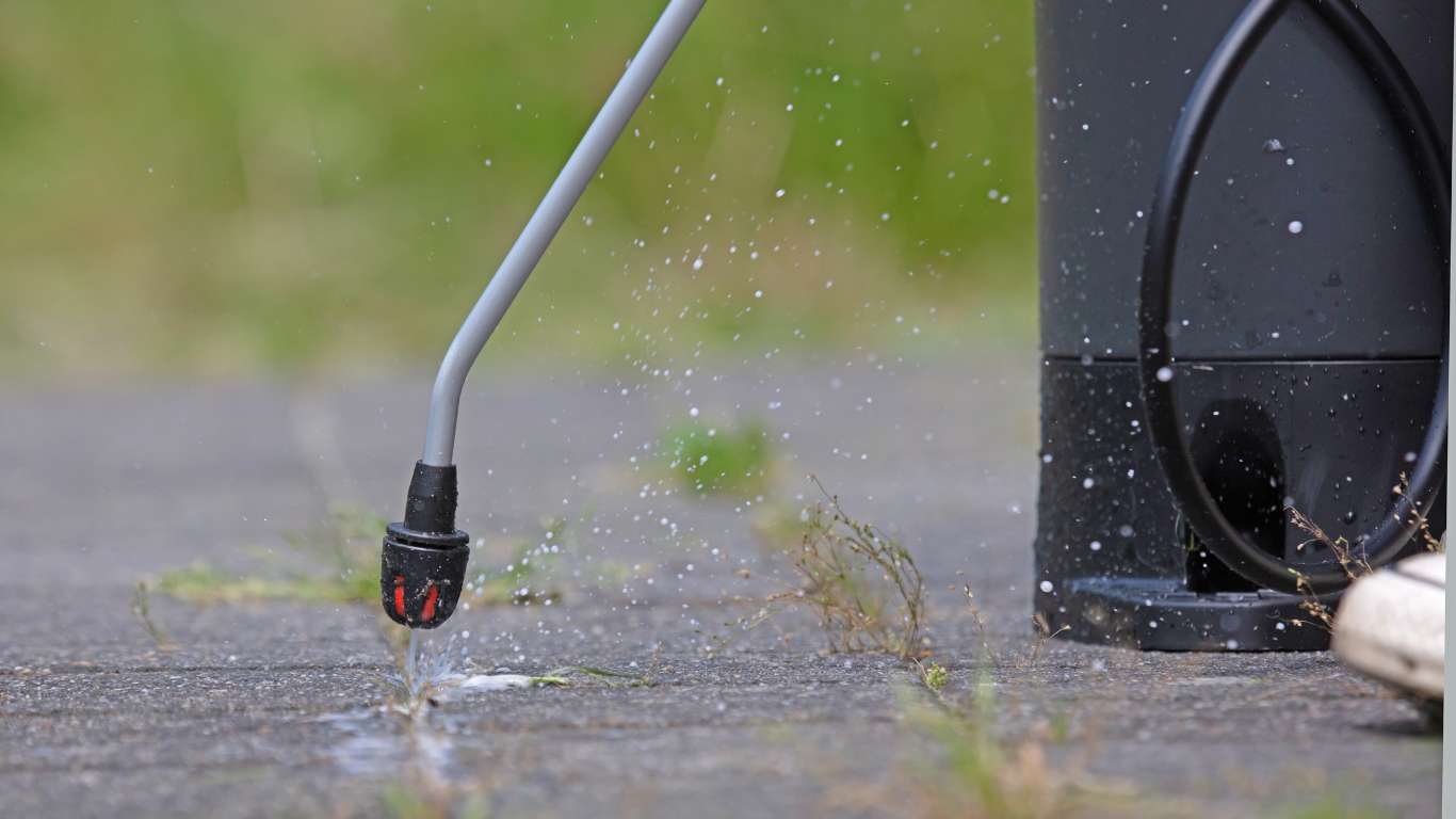 Residential Weed Control