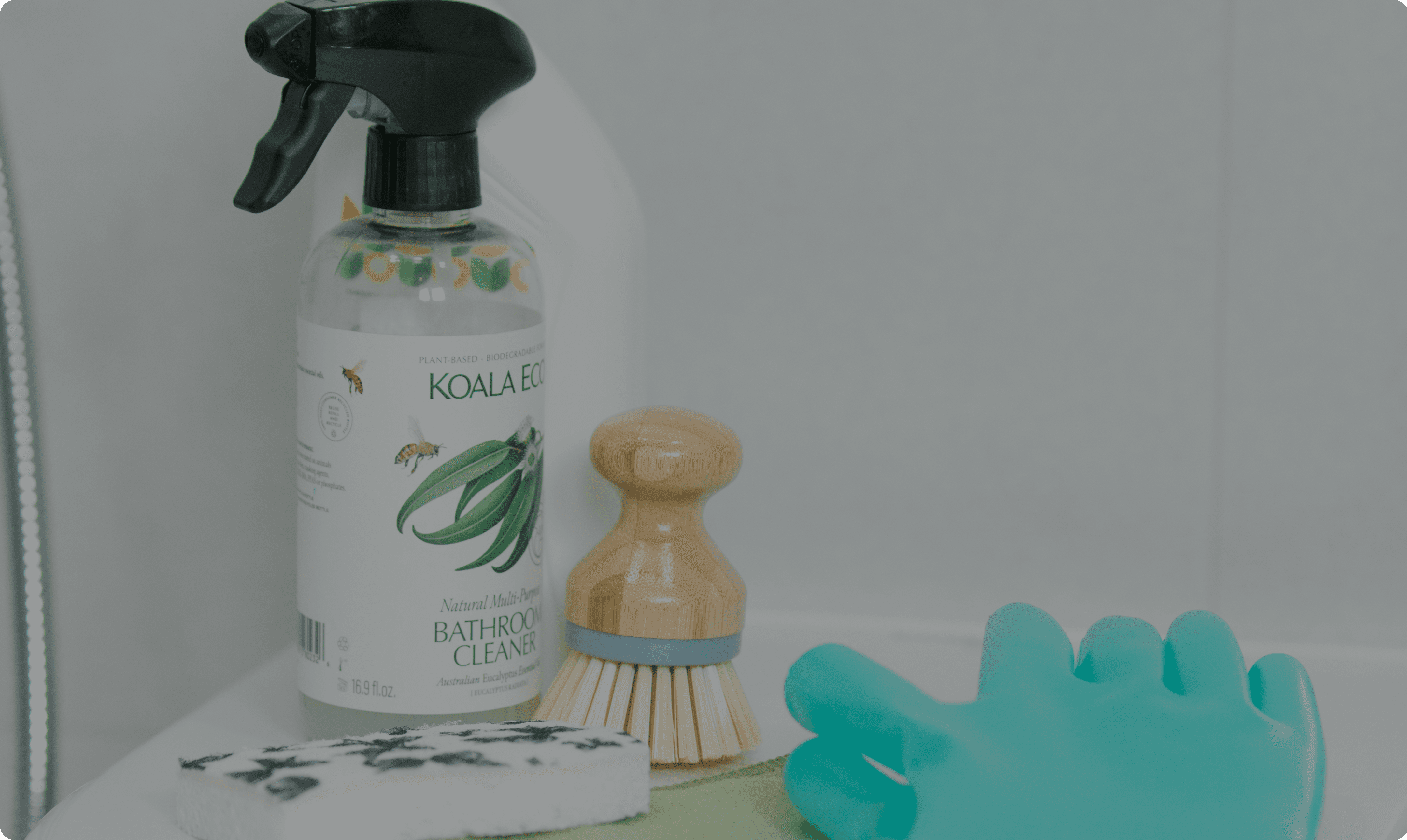 Eco-friendly products and supplies for cleaning
