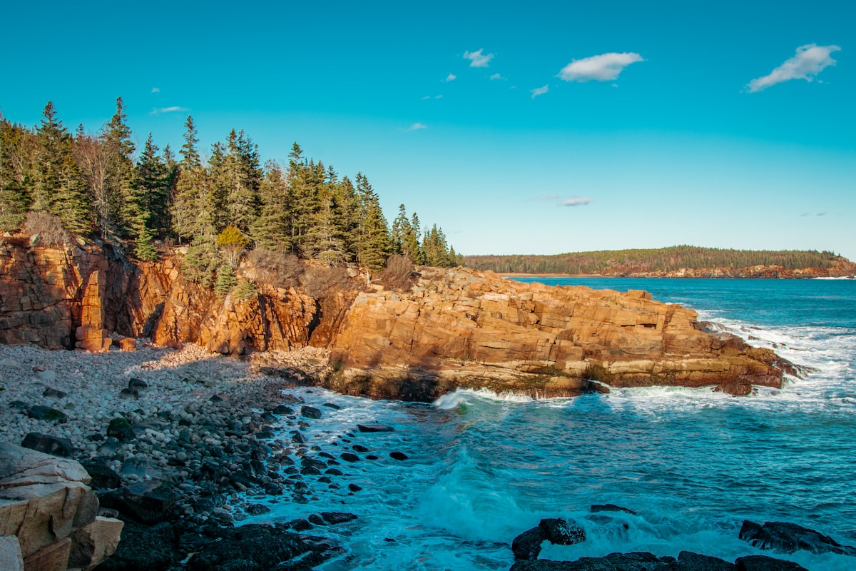 Pink granite cliffs and evergreens above the blue Atlantic at Acadia National Park, Maine