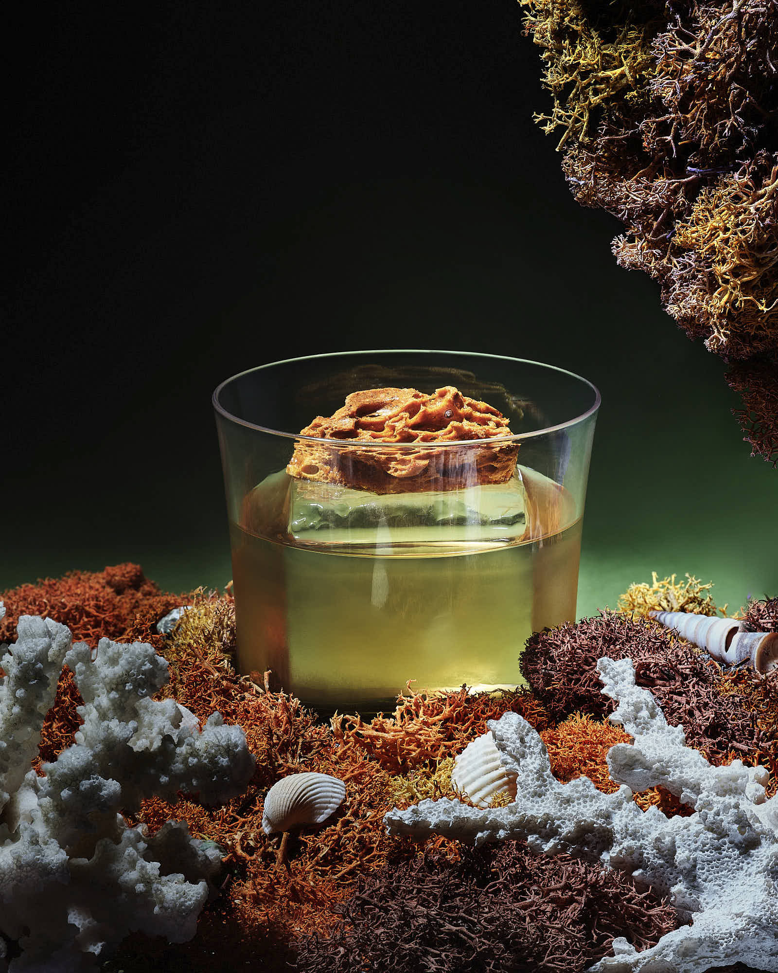 A glass of whiskey garnished with a walnut sits on a colorful coral-like surface against a dark background.