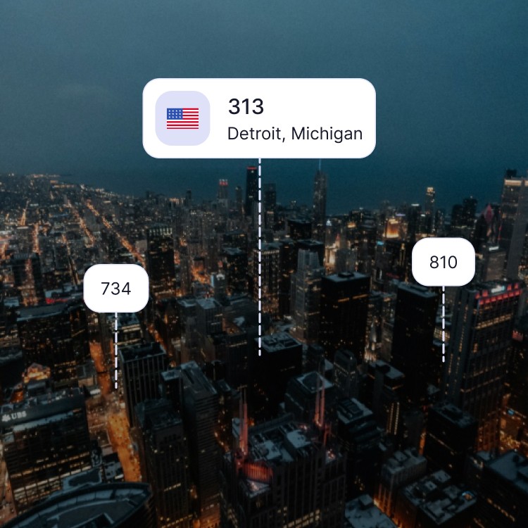 City skyline of Detroit showing the 313 area code and surrounding area codes