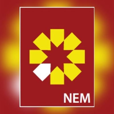 NEM Insurance Logo