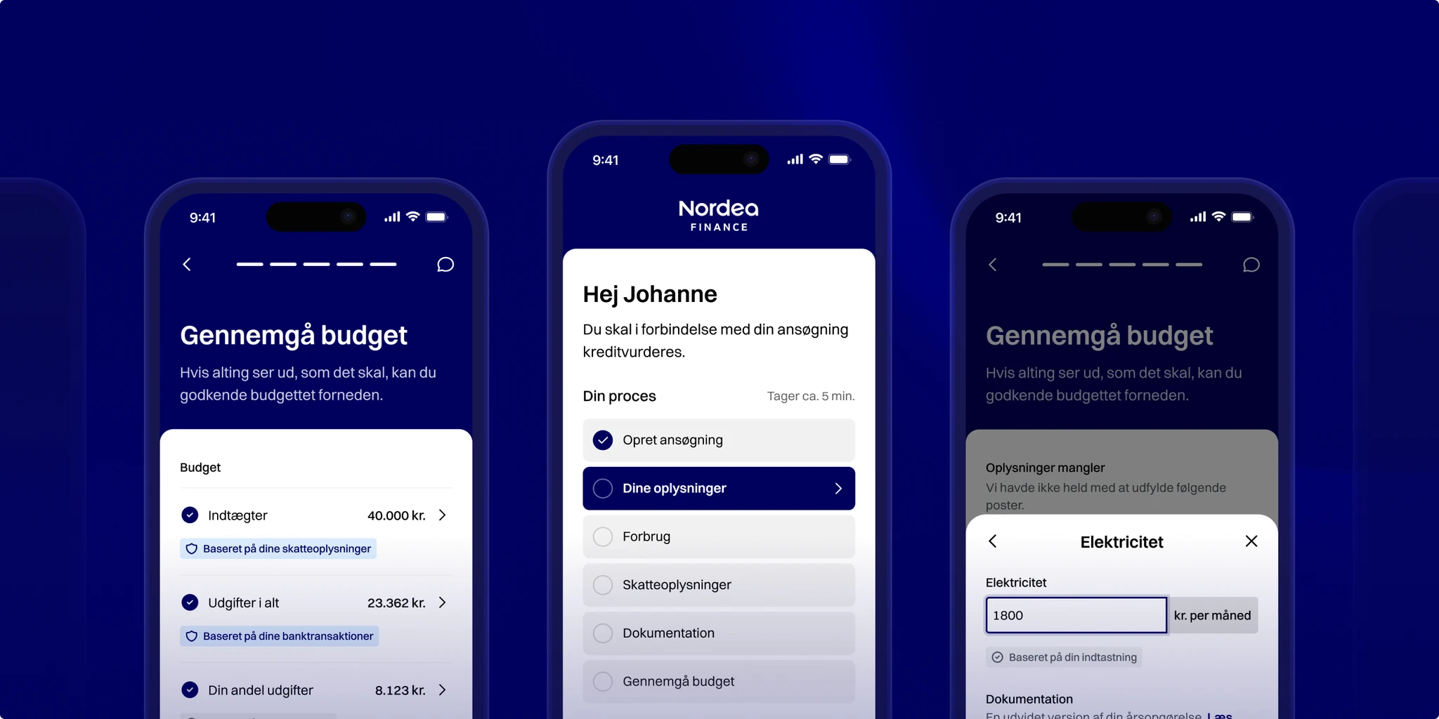 Interface of Noitso guiding the user through budget review with a structured layout and a step-by-step guided process.