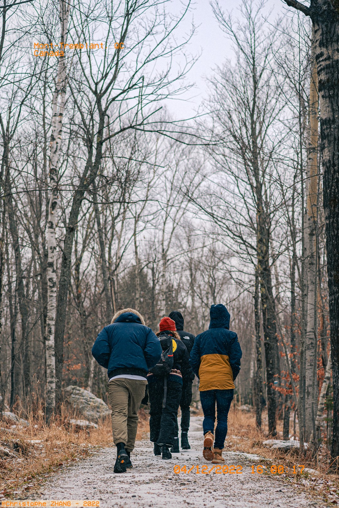 Randonnée hivernale en forêt de bouleaux, Mont‑Tremblant, QC.