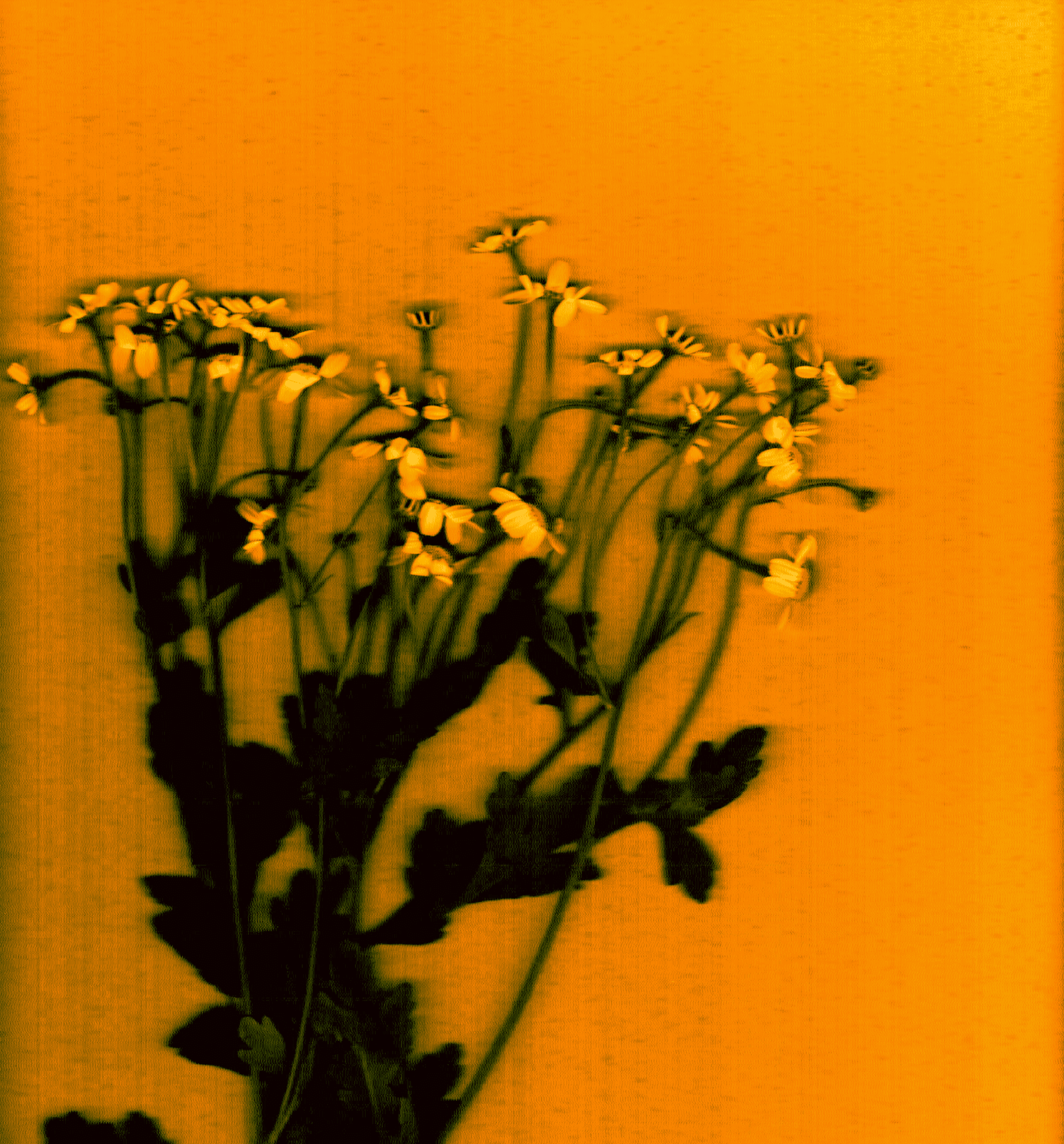 Close-up of a yellow tennis ball sitting on a green court, positioned near the white center line.