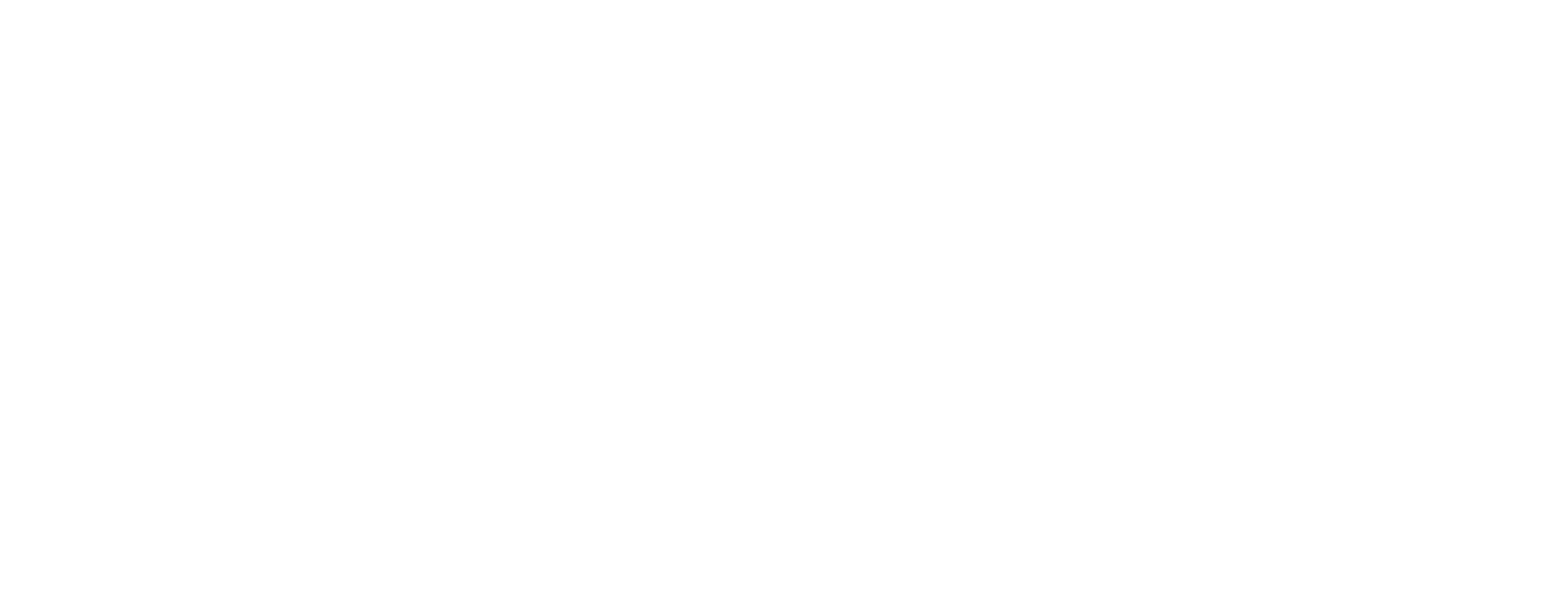 Stella's Cleaning Logo