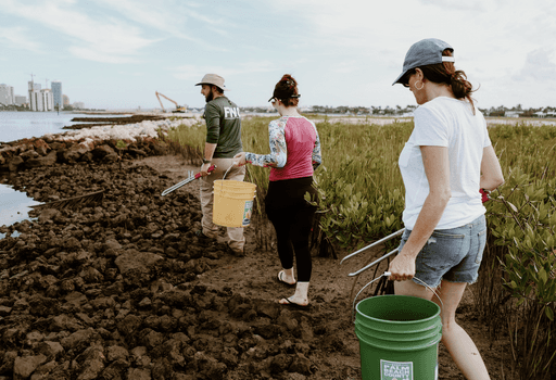 A group of four people standing outside a building, engaging in conversation, with cars parked nearby.