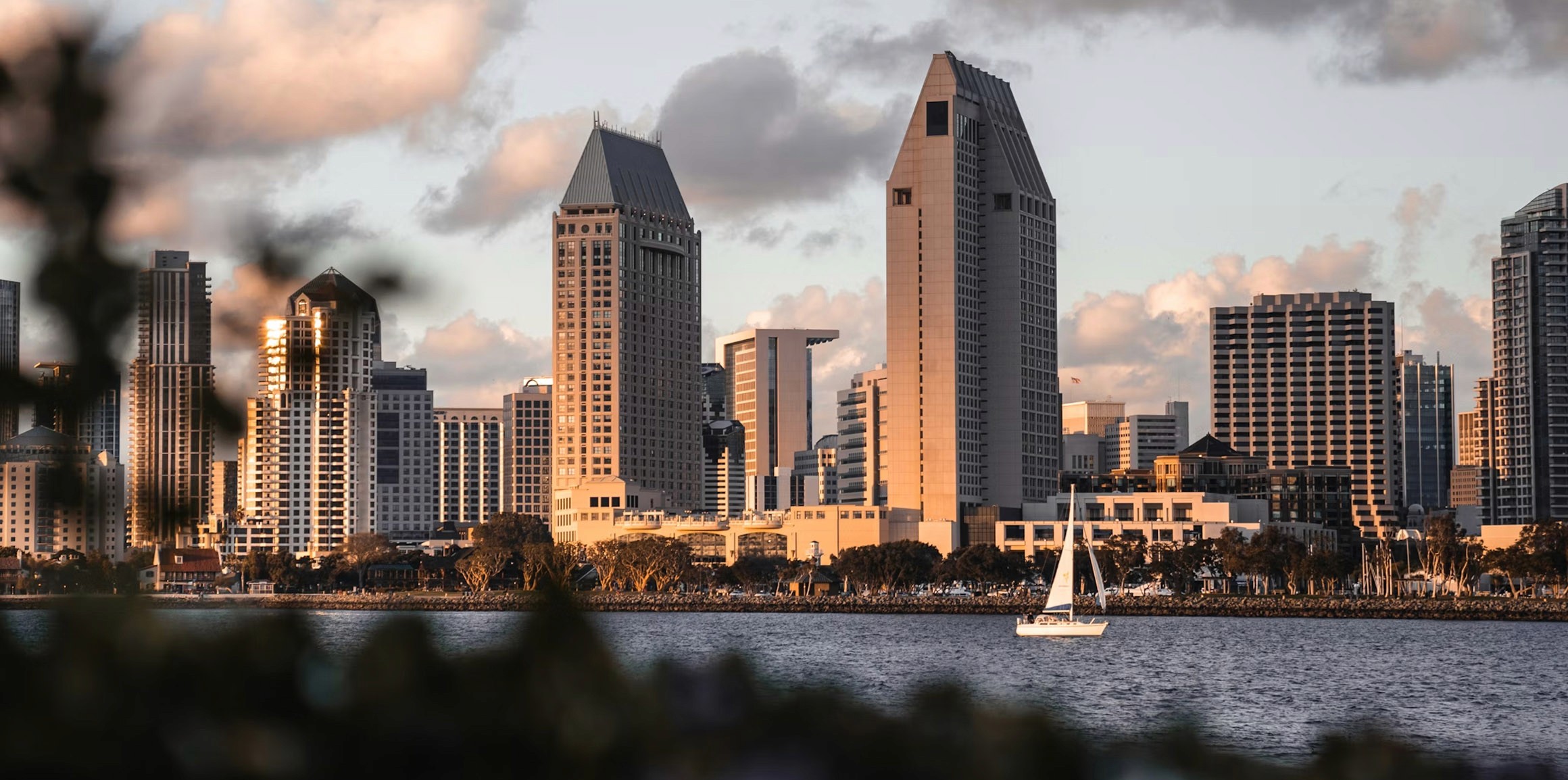 worms eye view of buildings