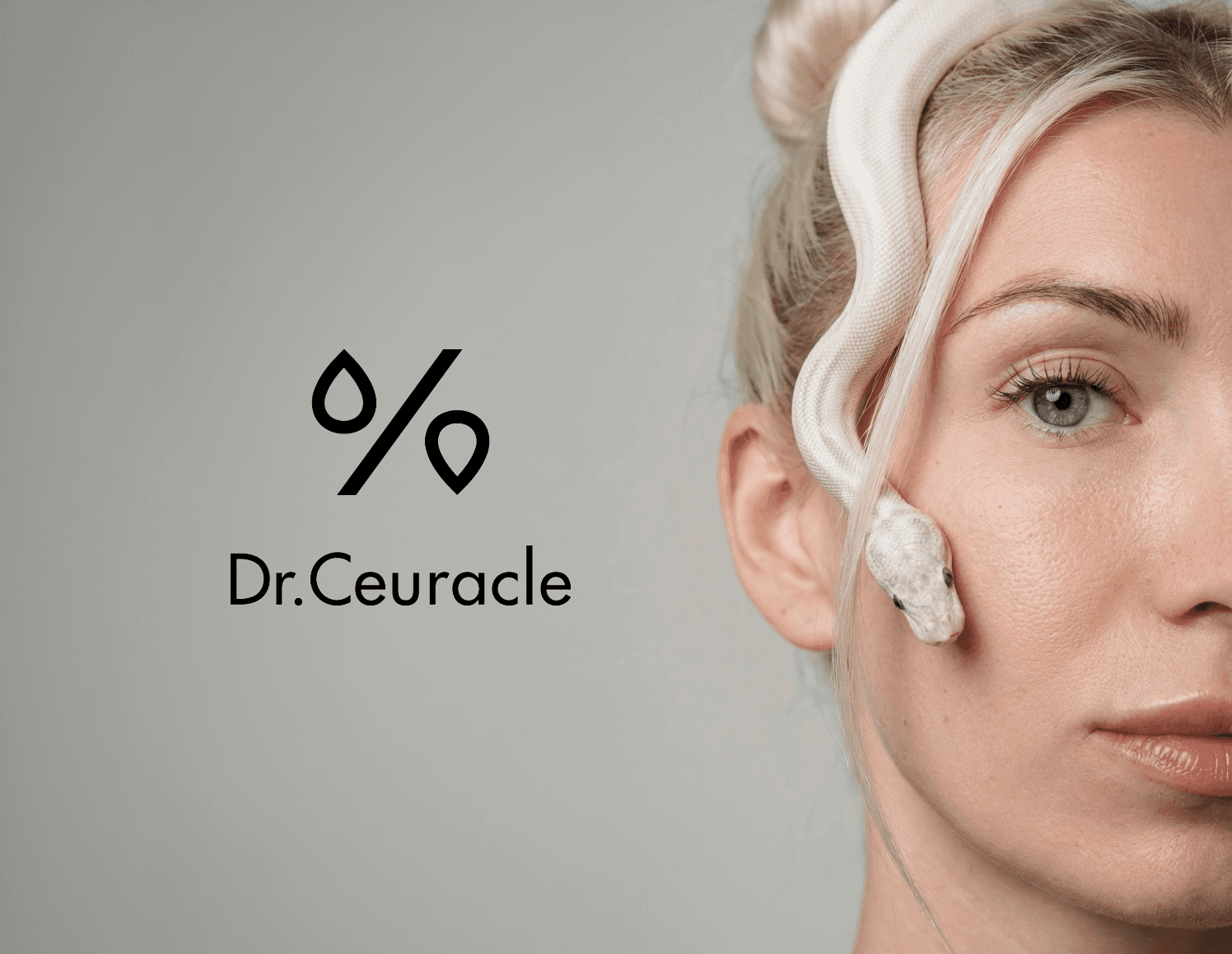 Dog e-commerce brand web design