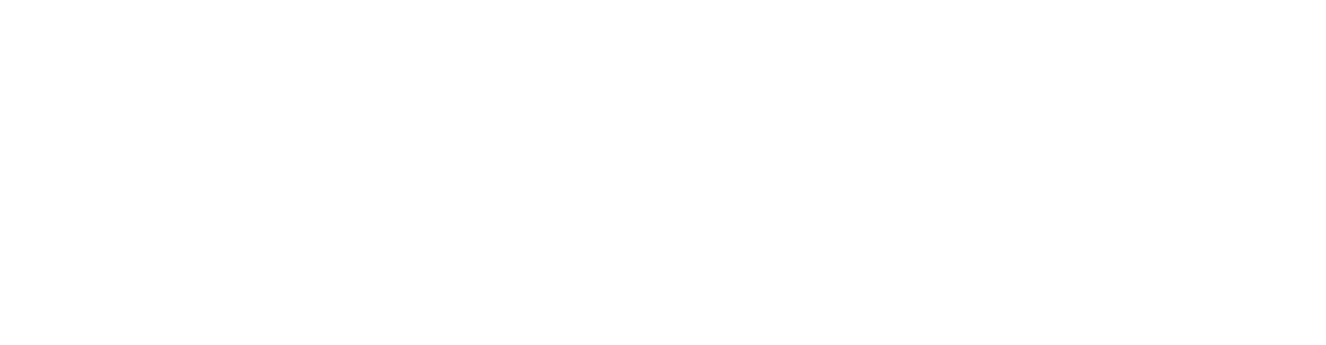 Logo Design Project for a Client