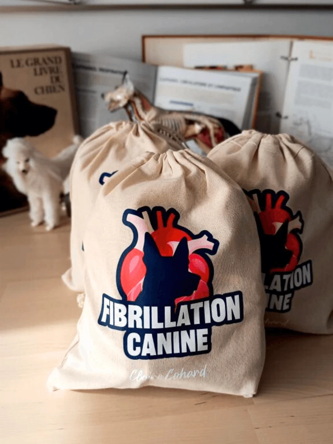 Trousse de premiers secours pour Fibrillation Canine, spécialisée dans les secours canins