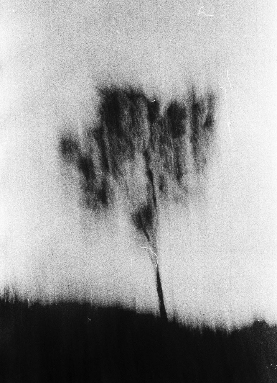 Blurred black and white photograph of a solitary tree fading into a soft, textured background.