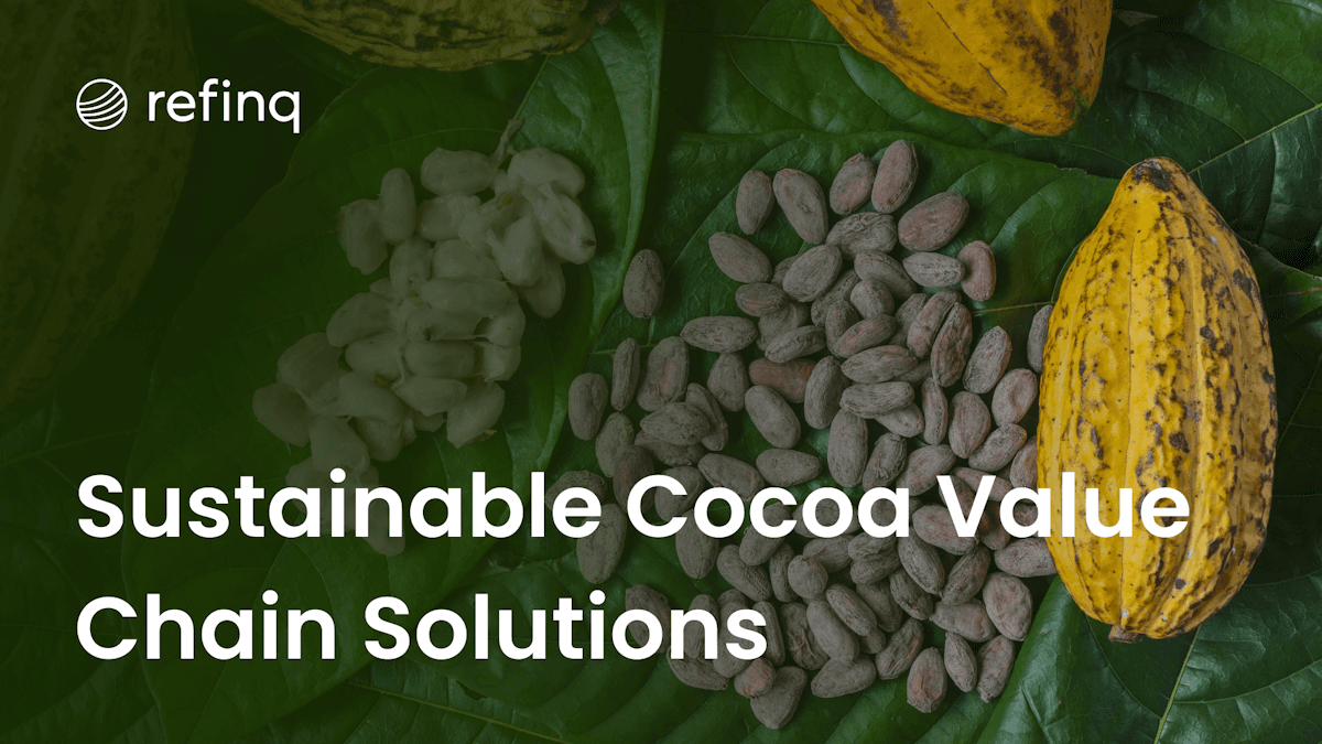 Sustainable cocoa value chain