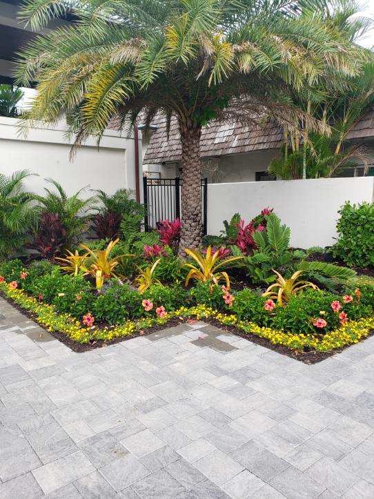 landscaping tampa bay