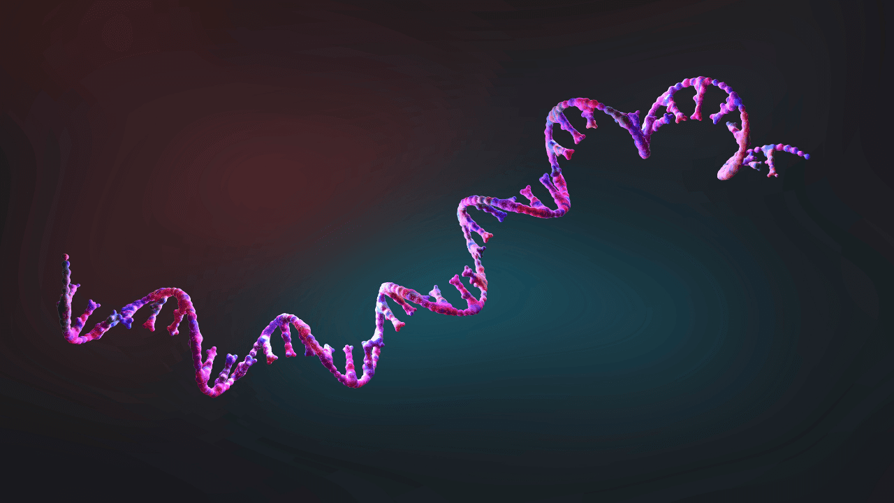 Bioinformatics online program