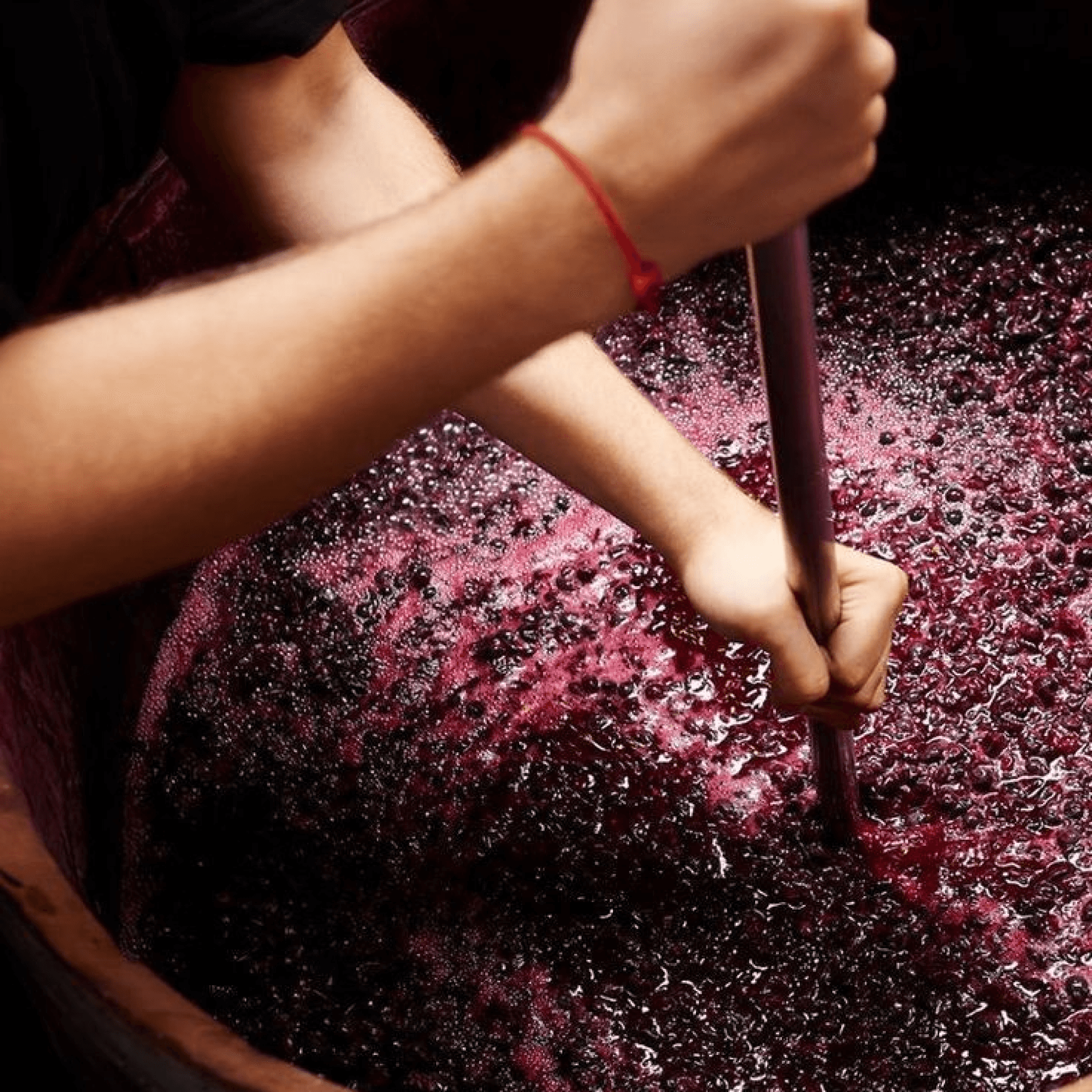 Here comes the alt text