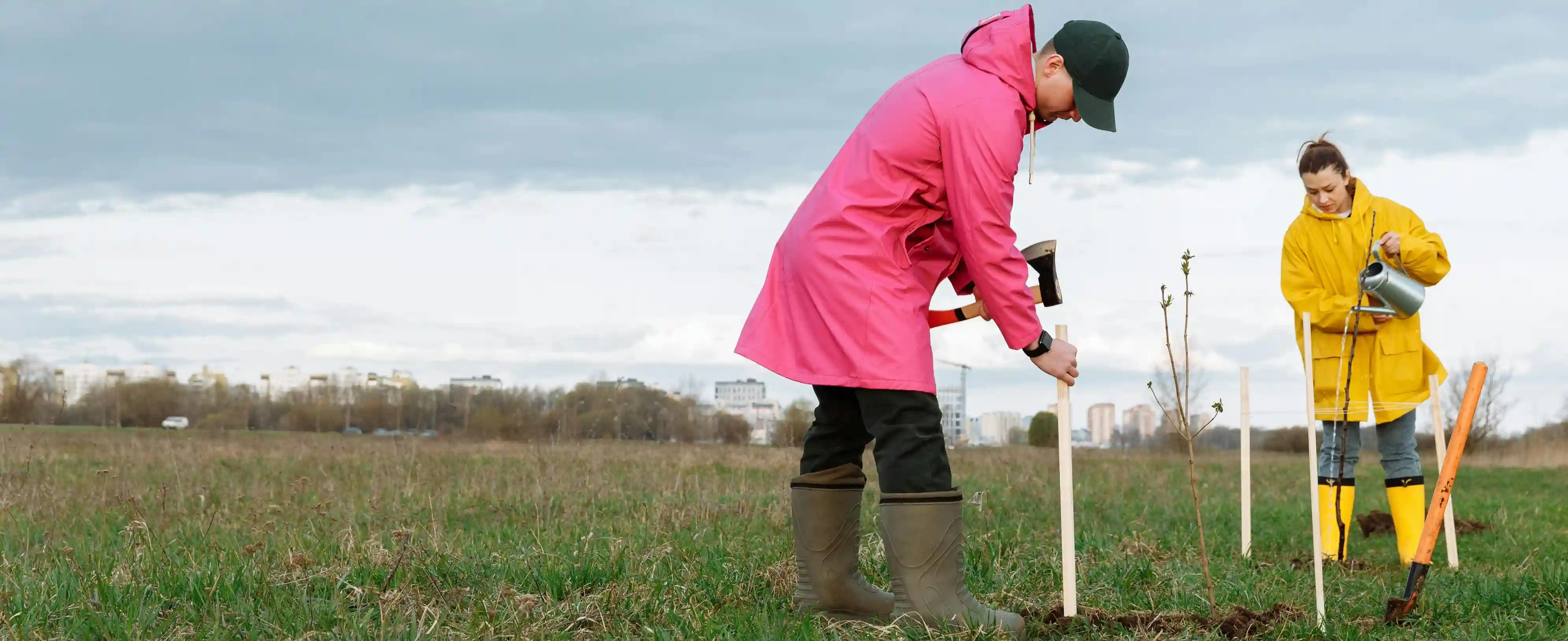 Two people in a field plant a tree. One wears a pink raincoat, staking the tree, while the other in yellow waters it.