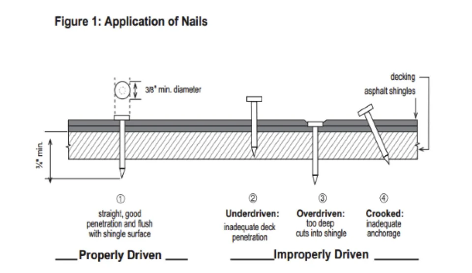 Atlas Shingle Nails: Placement and Drive Depth Matter — Atlas source illustration