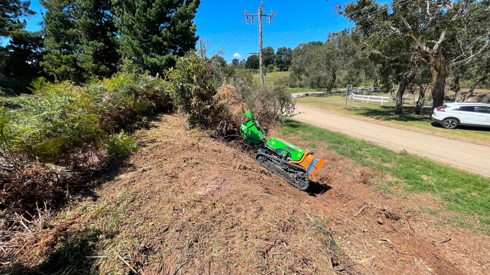 Restoring steep hillsides with effective deadwood removal