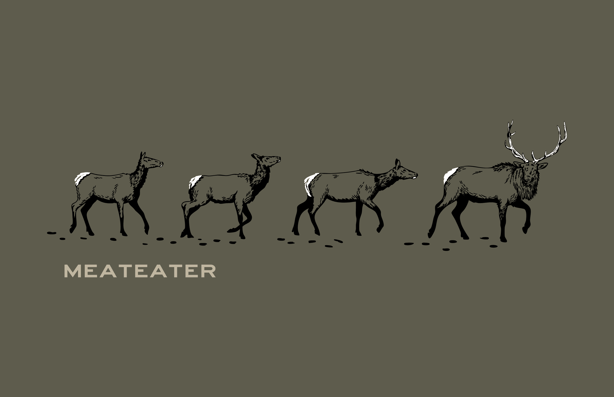 a dropping bottle with bird of paradise flower