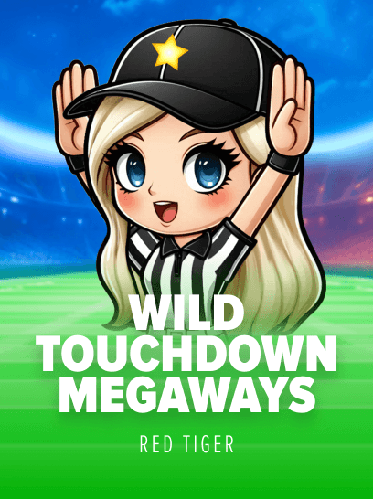Wild Touchdown MegaWays — cover