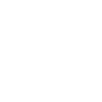 Social Icon