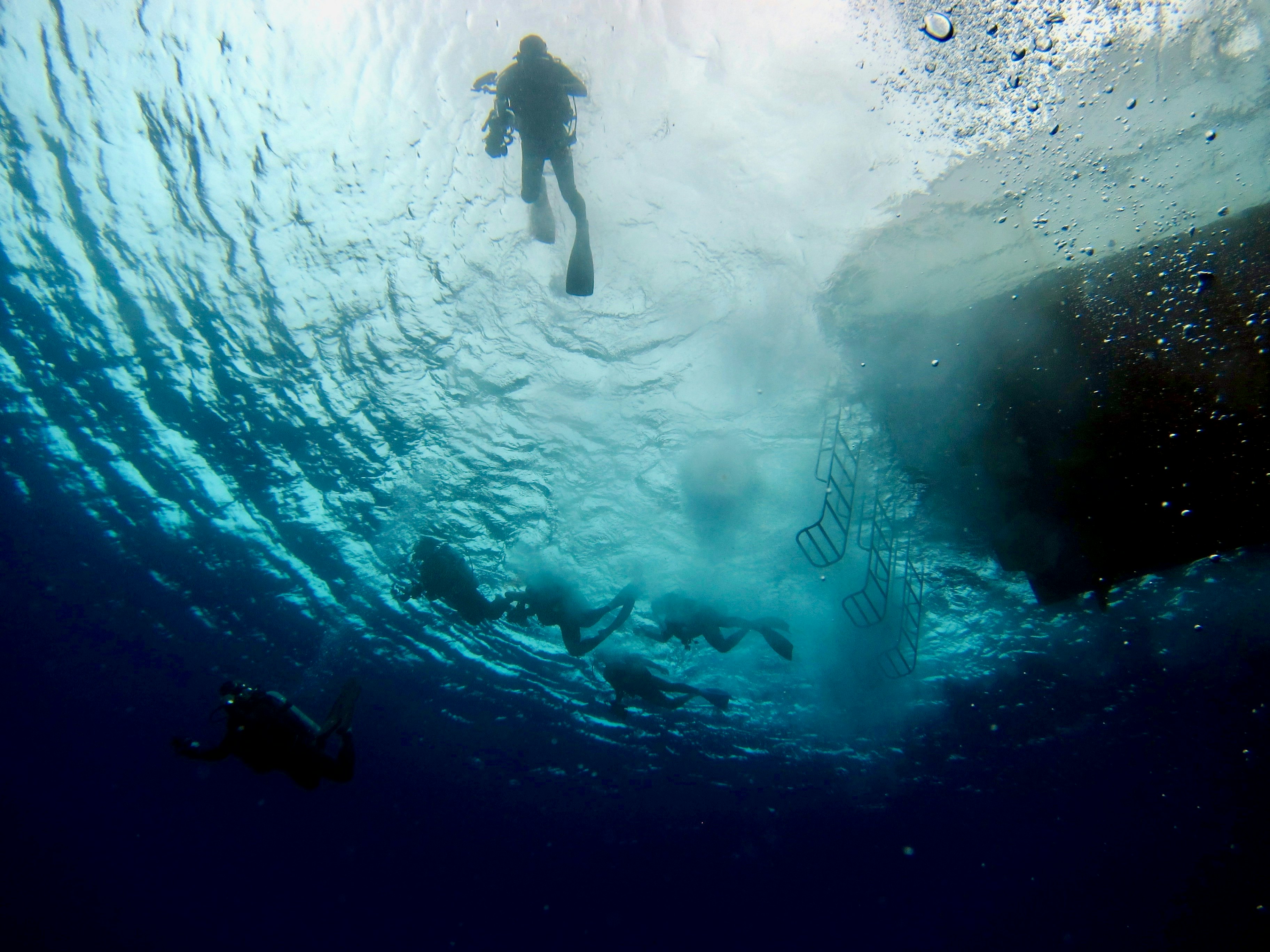 person in black wet suit in water