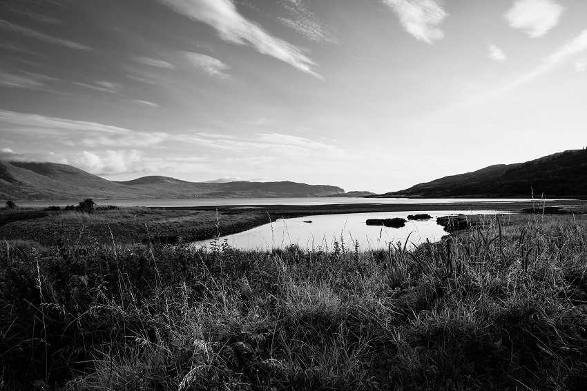 Album Photo Real Mehedi Free Framer Template Photography