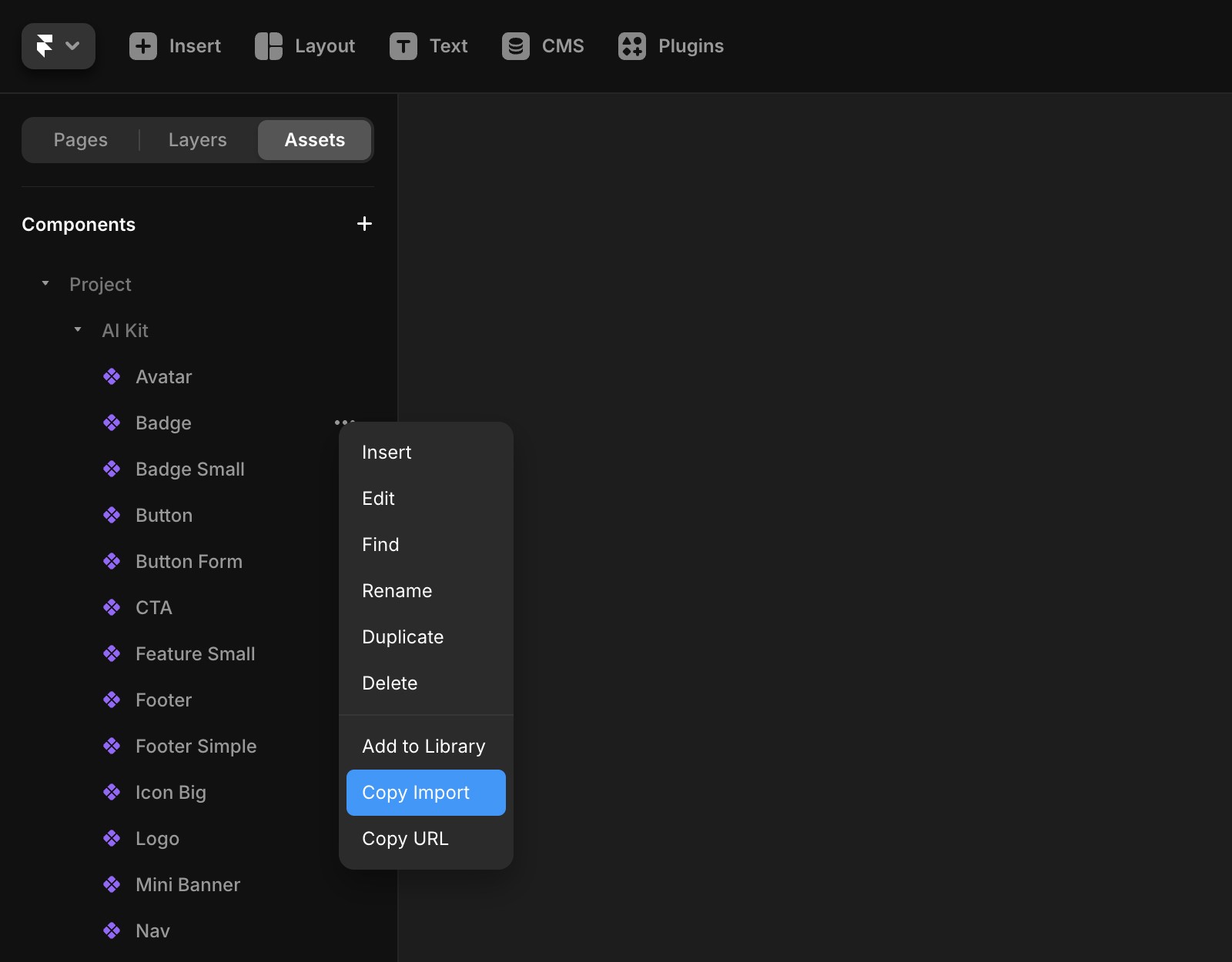 The Assets panel and the dropdown that shows the option “Copy Import”.