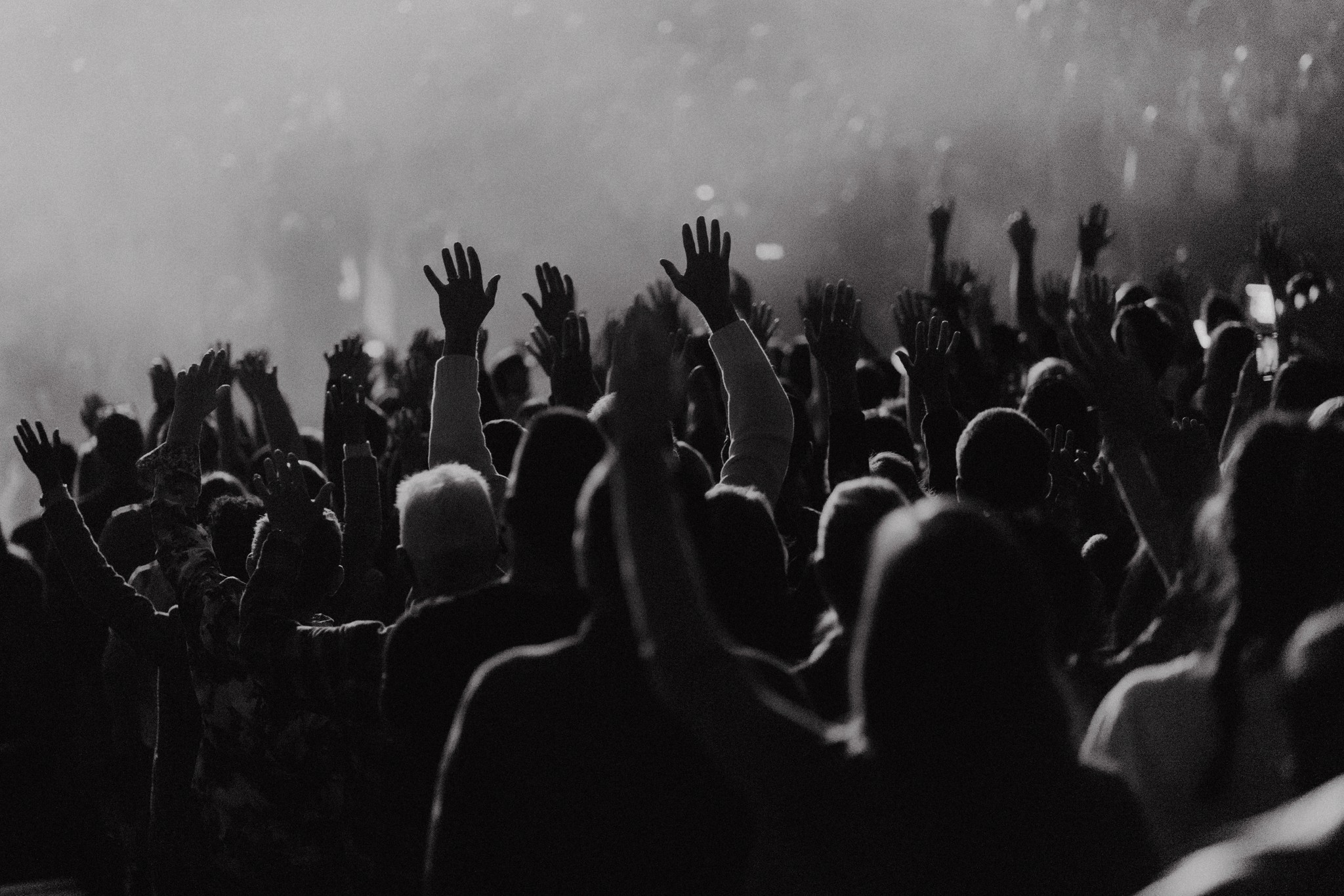 person sitting on grass and using phone