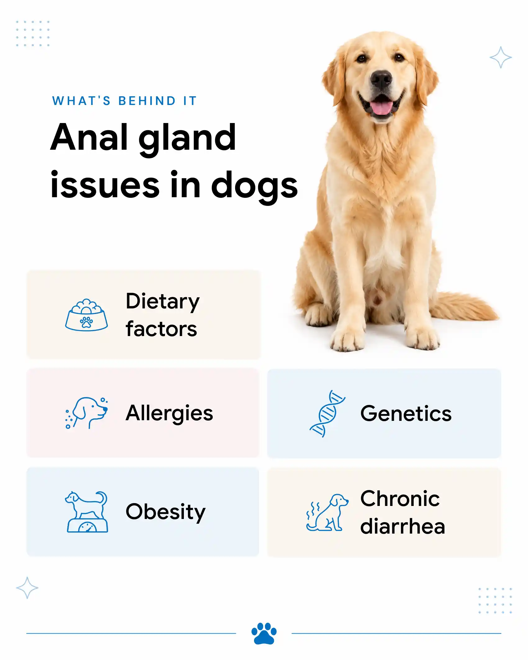 An infographic that highlights the causes of anal gland issues in dogs