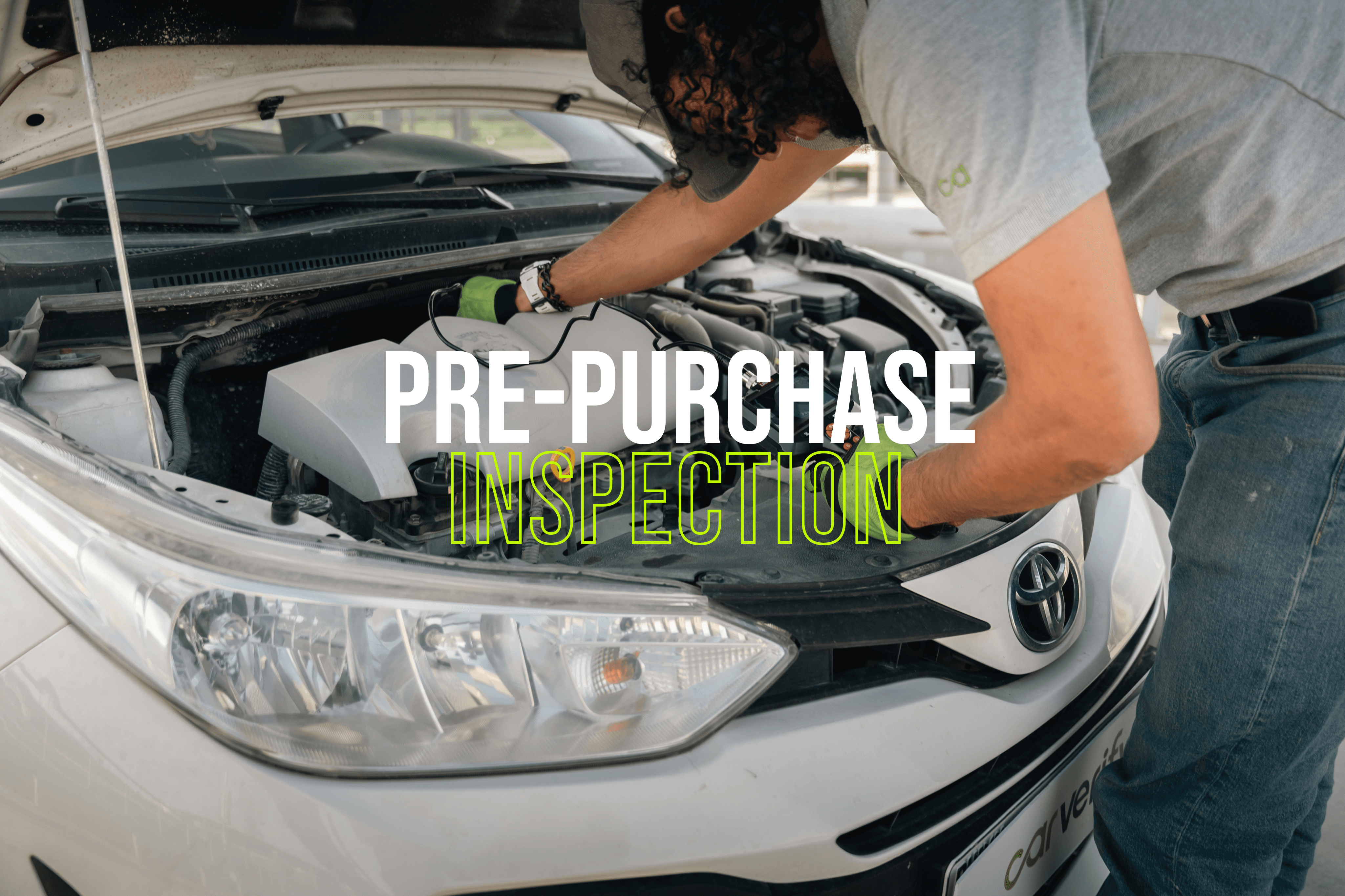 vehicle inspector conducting inspection